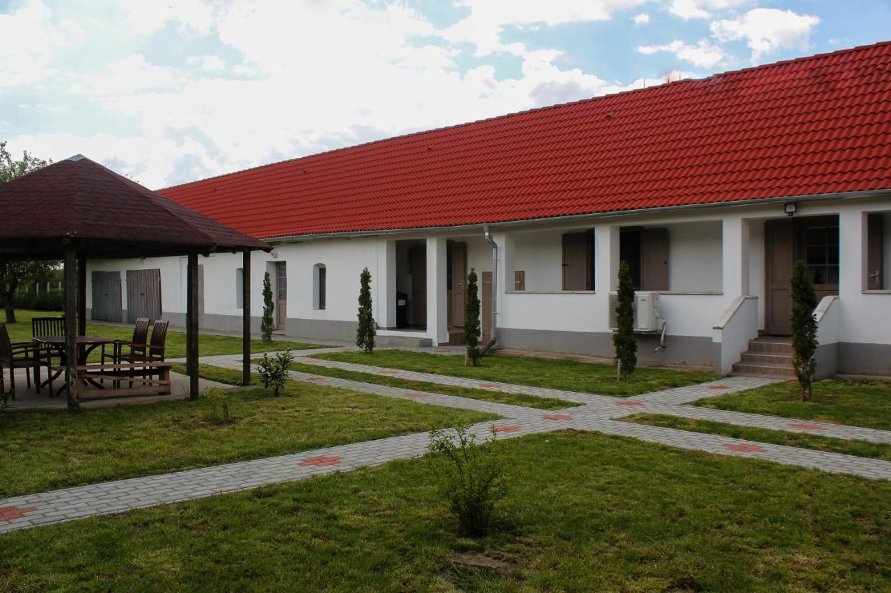 Das Blaue Haus Guesthouse - Kovacshida Eksteriør billede